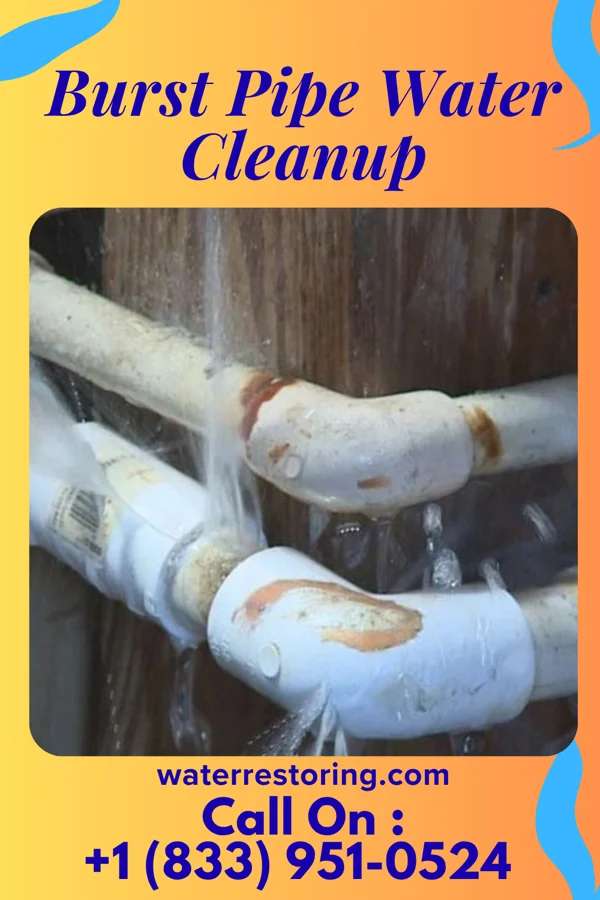 Burst Pipe Water Cleanup in Cimarron, NM