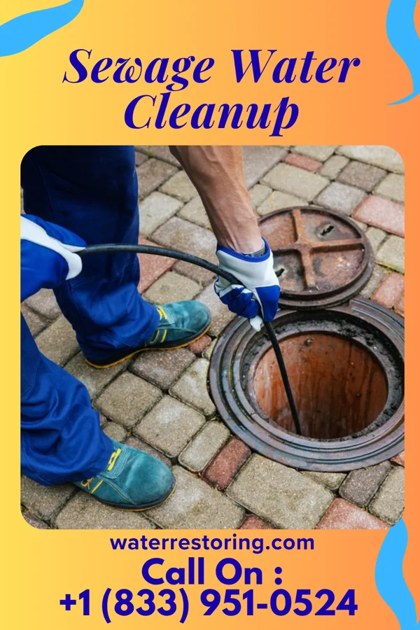 Sewage Water Cleanup in Cimarron, NM