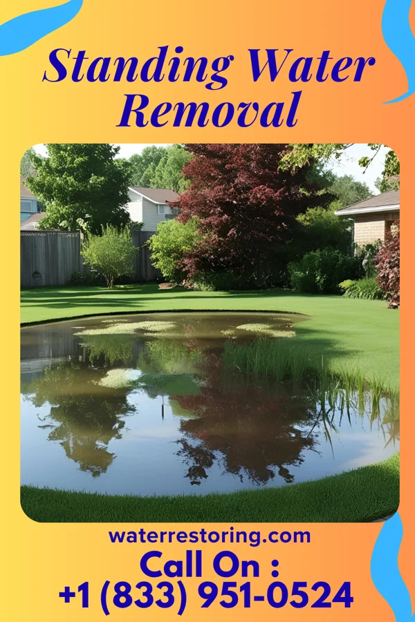 Standing Water Removal in Cimarron, NM
